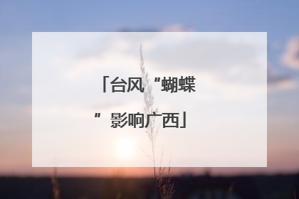 台风“蝴蝶”影响广西