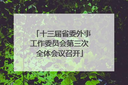 十三届省委外事工作委员会第三次全体会议召开