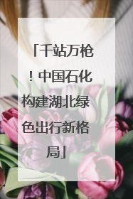 千站万枪！中国石化构建湖北绿色出行新格局