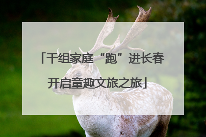 千组家庭“跑”进长春 开启童趣文旅之旅