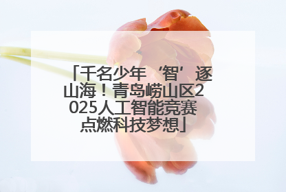 千名少年‘智’逐山海！青岛崂山区2025人工智能竞赛点燃科技梦想
