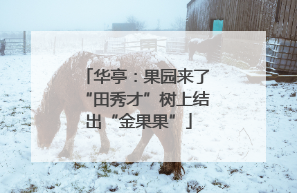 华亭：果园来了“田秀才”树上结出“金果果”