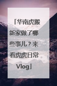 华南虎搬新家做了哪些事儿？来看虎虎日常Vlog