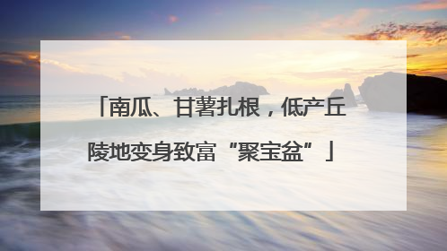 南瓜、甘薯扎根，低产丘陵地变身致富“聚宝盆”