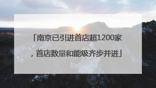南京已引进首店超1200家，首店数量和能级齐步并进