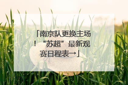 南京队更换主场！“苏超”最新观赛日程表→