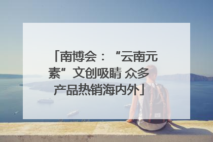 南博会：“云南元素”文创吸睛 众多产品热销海内外