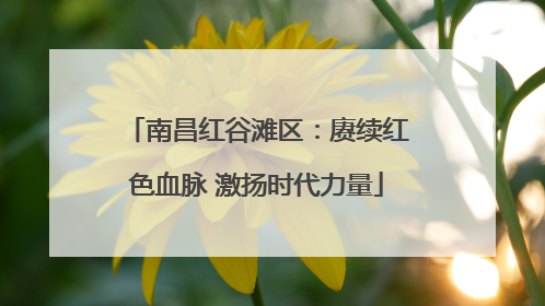 南昌红谷滩区：赓续红色血脉 激扬时代力量