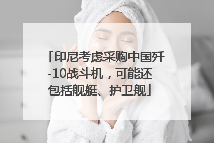 印尼考虑采购中国歼-10战斗机，可能还包括舰艇、护卫舰