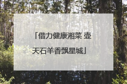 借力健康湘菜 壶天石羊香飘星城