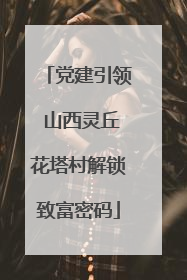 党建引领 山西灵丘花塔村解锁致富密码