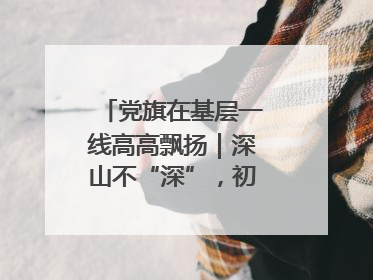 党旗在基层一线高高飘扬｜深山不“深”，初心很“红”