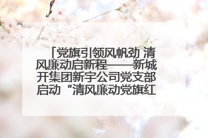 党旗引领风帆劲 清风廉动启新程——新城开集团新宇公司党支部启动“清风廉动党旗红”系列活动