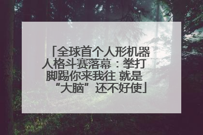 全球首个人形机器人格斗赛落幕：拳打脚踢你来我往 就是“大脑”还不好使
