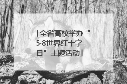 全省高校举办“5·8世界红十字日”主题活动