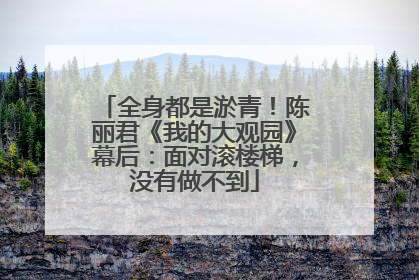 全身都是淤青！陈丽君《我的大观园》幕后：面对滚楼梯，没有做不到