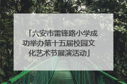 六安市雷锋路小学成功举办第十五届校园文化艺术节展演活动