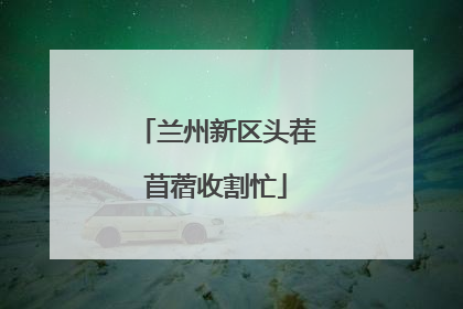 兰州新区头茬苜蓿收割忙
