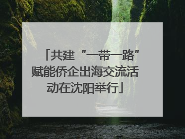 共建“一带一路”赋能侨企出海交流活动在沈阳举行