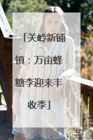 关岭新铺镇：万亩蜂糖李迎来丰收季