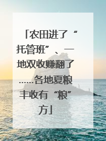 农田进了“托管班”、一地双收赚翻了……各地夏粮丰收有“粮”方