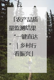 农产品质量监测结果“一键直达”｜乡村行·看振兴