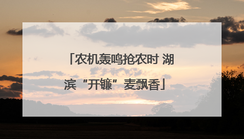 农机轰鸣抢农时 湖滨“开镰”麦飘香