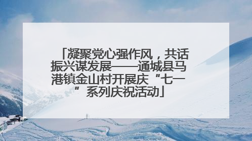 凝聚党心强作风，共话振兴谋发展——通城县马港镇金山村开展庆“七一”系列庆祝活动