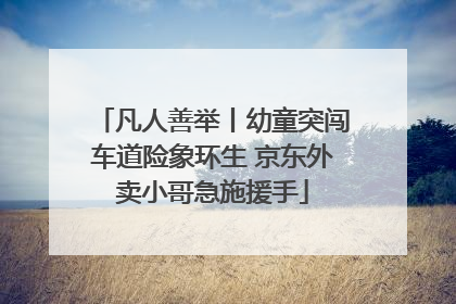 凡人善举丨幼童突闯车道险象环生 京东外卖小哥急施援手