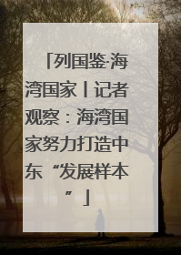 列国鉴·海湾国家丨记者观察：海湾国家努力打造中东“发展样本”