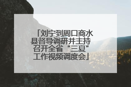 刘宁到周口商水县督导调研并主持召开全省“三夏”工作视频调度会