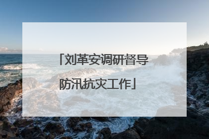 刘革安调研督导防汛抗灾工作
