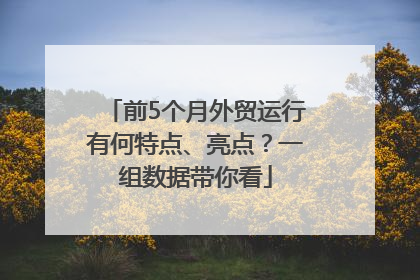 前5个月外贸运行有何特点、亮点？一组数据带你看