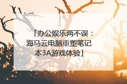 办公娱乐两不误：海马云电脑重塑笔记本3A游戏体验