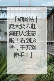 动图站｜夏天要去赶海的人注意啦！看到这些，千万别伸手！