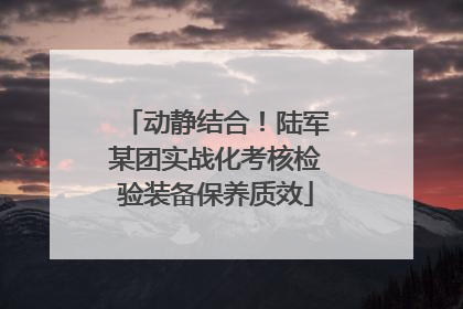 动静结合！陆军某团实战化考核检验装备保养质效