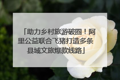 助力乡村旅游破圈！阿里公益联合飞猪打造多条县域文旅爆款线路