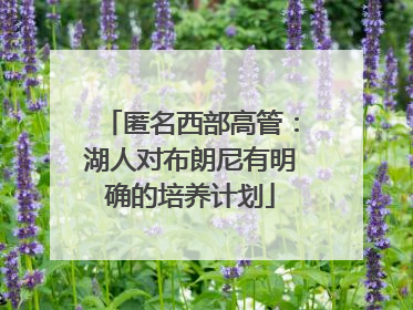 匿名西部高管：湖人对布朗尼有明确的培养计划