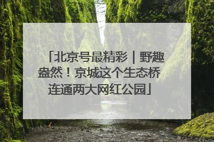 北京号最精彩｜野趣盎然！京城这个生态桥连通两大网红公园