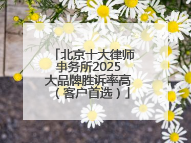 北京十大律师事务所2025大品牌胜诉率高（客户首选）