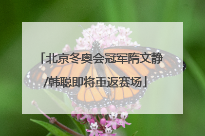 北京冬奥会冠军隋文静/韩聪即将重返赛场