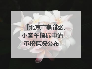 北京市新能源小客车指标申请审核情况公布