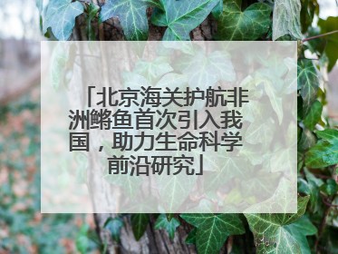 北京海关护航非洲鳉鱼首次引入我国，助力生命科学前沿研究