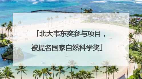 北大韦东奕参与项目，被提名国家自然科学奖
