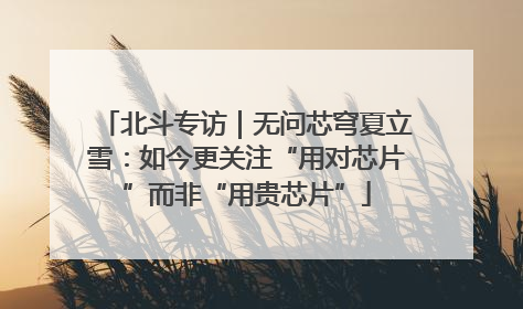 北斗专访｜无问芯穹夏立雪：如今更关注“用对芯片”而非“用贵芯片”