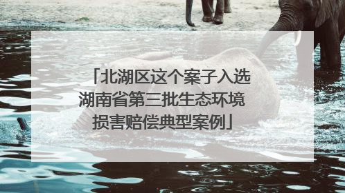 北湖区这个案子入选湖南省第三批生态环境损害赔偿典型案例