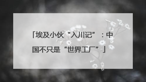 埃及小伙“入川记”：中国不只是“世界工厂”
