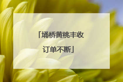 埇桥黄桃丰收 订单不断