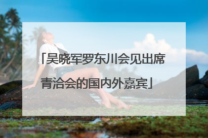 吴晓军罗东川会见出席青洽会的国内外嘉宾