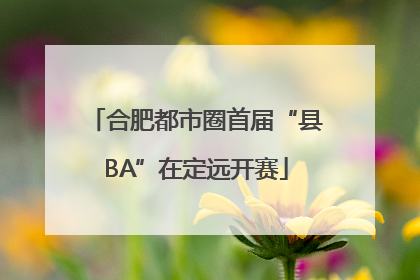 合肥都市圈首届“县BA”在定远开赛